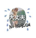 キモノといきもの2【きょうじ獏】（個別スタンプ：11）