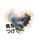 キモノといきもの2【きょうじ獏】（個別スタンプ：17）