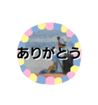 キモノといきもの2【きょうじ獏】（個別スタンプ：20）
