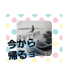 キモノといきもの2【きょうじ獏】（個別スタンプ：27）