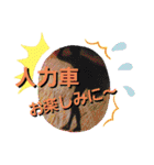 キモノといきもの2【きょうじ獏】（個別スタンプ：37）