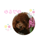 ティナのスタンプ       〈春〉（個別スタンプ：1）
