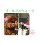 ティナのスタンプ       〈春〉（個別スタンプ：5）