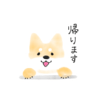 ふわっと柴犬（個別スタンプ：17）