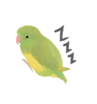 インコの日常の様子（個別スタンプ：3）