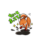 柴犬ちょびすけ2（個別スタンプ：3）