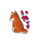 柴犬ちょびすけ2（個別スタンプ：7）
