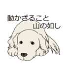 【大型犬】ゴールデンレトリーバー（個別スタンプ：22）