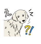 【大型犬】ゴールデンレトリーバー（個別スタンプ：28）