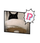 気持ちを伝えたい時〜（個別スタンプ：1）