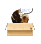 気持ちを伝えたい時〜（個別スタンプ：8）
