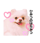 土佐弁♡日常編♡ポメラニアン♡（個別スタンプ：33）