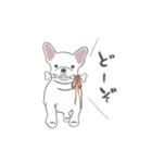 pochi_dog（個別スタンプ：13）