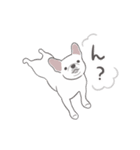 pochi_dog（個別スタンプ：15）