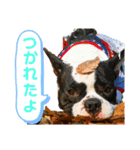 kouich 7（個別スタンプ：3）