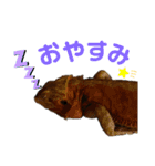 kouich 7（個別スタンプ：5）