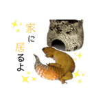 kouich 7（個別スタンプ：6）