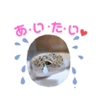 kouich 7（個別スタンプ：7）