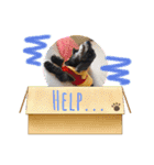 れおくんの日常。②（個別スタンプ：10）