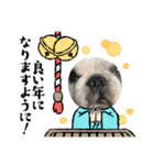 2021アレク犬スタンプ（個別スタンプ：1）