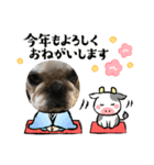 2021アレク犬スタンプ（個別スタンプ：5）