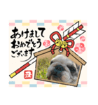 2021アレク犬スタンプ（個別スタンプ：6）