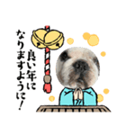 2021アレク犬スタンプ（個別スタンプ：7）