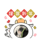 2021アレク犬スタンプ（個別スタンプ：8）