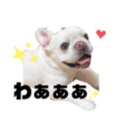 フレブル⭐︎福たん文字デカスペシャルver（個別スタンプ：19）