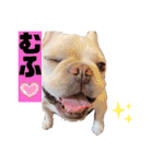 フレブル⭐︎福たん文字デカスペシャルver（個別スタンプ：22）