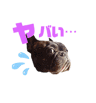 フレブル⭐︎福たん文字デカスペシャルver（個別スタンプ：28）