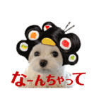 マルチーズのおもち③（個別スタンプ：15）