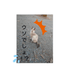 にゃー子と友達（個別スタンプ：3）