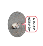 にゃー子と友達（個別スタンプ：8）