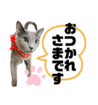 お仕事♡エマちゃん（個別スタンプ：3）