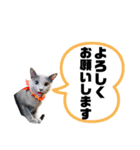 お仕事♡エマちゃん（個別スタンプ：12）