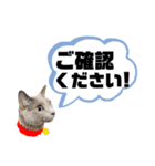お仕事♡エマちゃん（個別スタンプ：13）