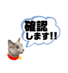 お仕事♡エマちゃん（個別スタンプ：14）
