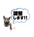 お仕事♡エマちゃん（個別スタンプ：15）