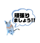 お仕事♡エマちゃん（個別スタンプ：29）