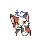 ダルねこ日常（個別スタンプ：4）