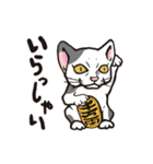 ダルねこ日常（個別スタンプ：5）