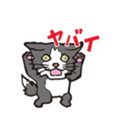 ダルねこ日常（個別スタンプ：9）