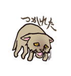 ダルねこ日常（個別スタンプ：13）