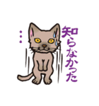 ダルねこ日常（個別スタンプ：15）