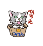 ダルねこ日常（個別スタンプ：16）