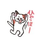 ダルねこ日常（個別スタンプ：17）