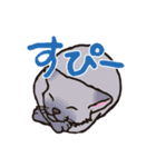 ダルねこ日常（個別スタンプ：18）