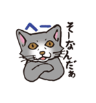 ダルねこ日常（個別スタンプ：19）
