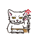 ダルねこ日常（個別スタンプ：20）